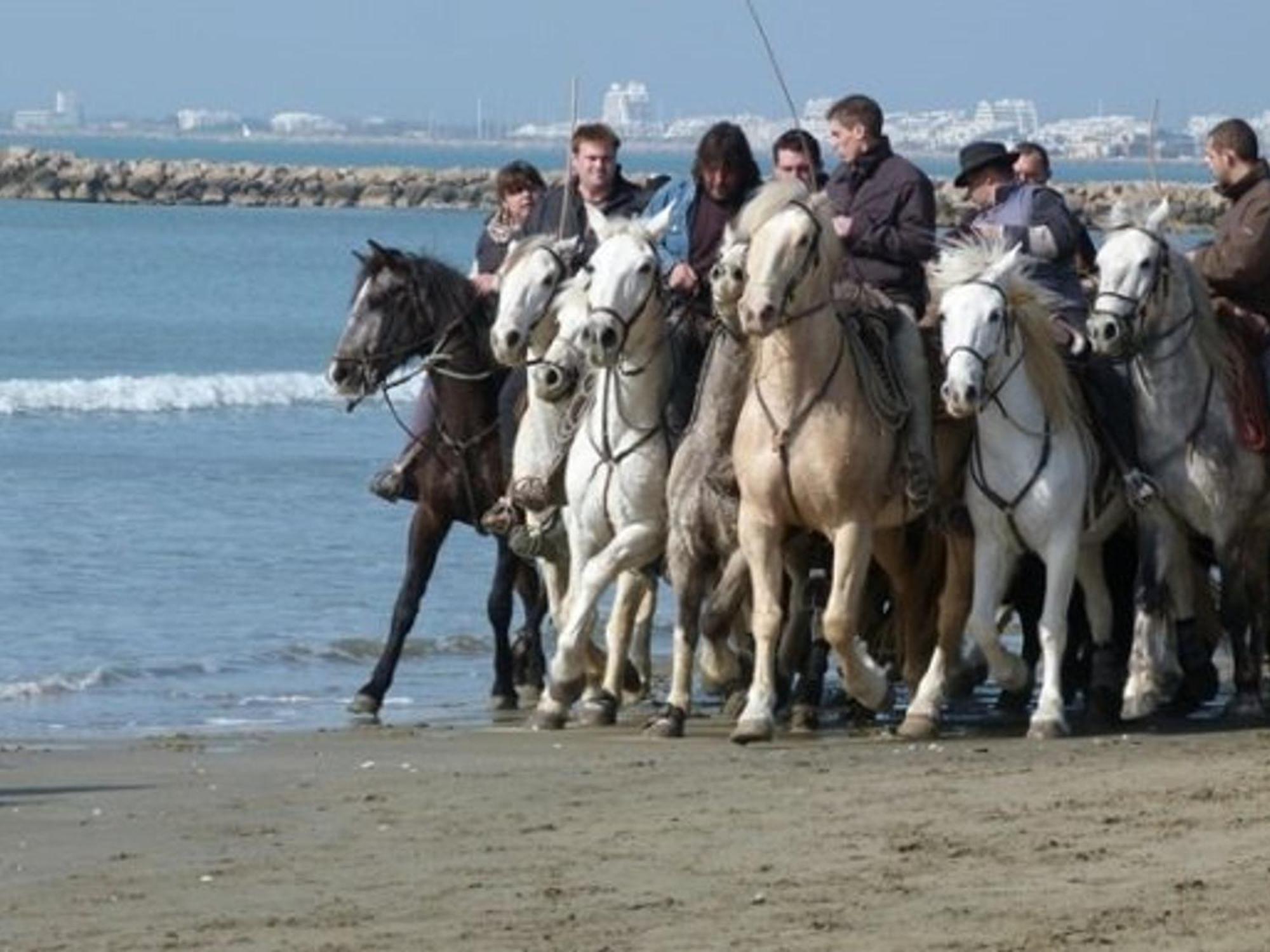 לה-גרו-דו-רואה Studio Confortable 3/4 Pers, 100M Plage, Parking Prive Au Grau-Du-Roi - Fr-1-307-20 מראה חיצוני תמונה