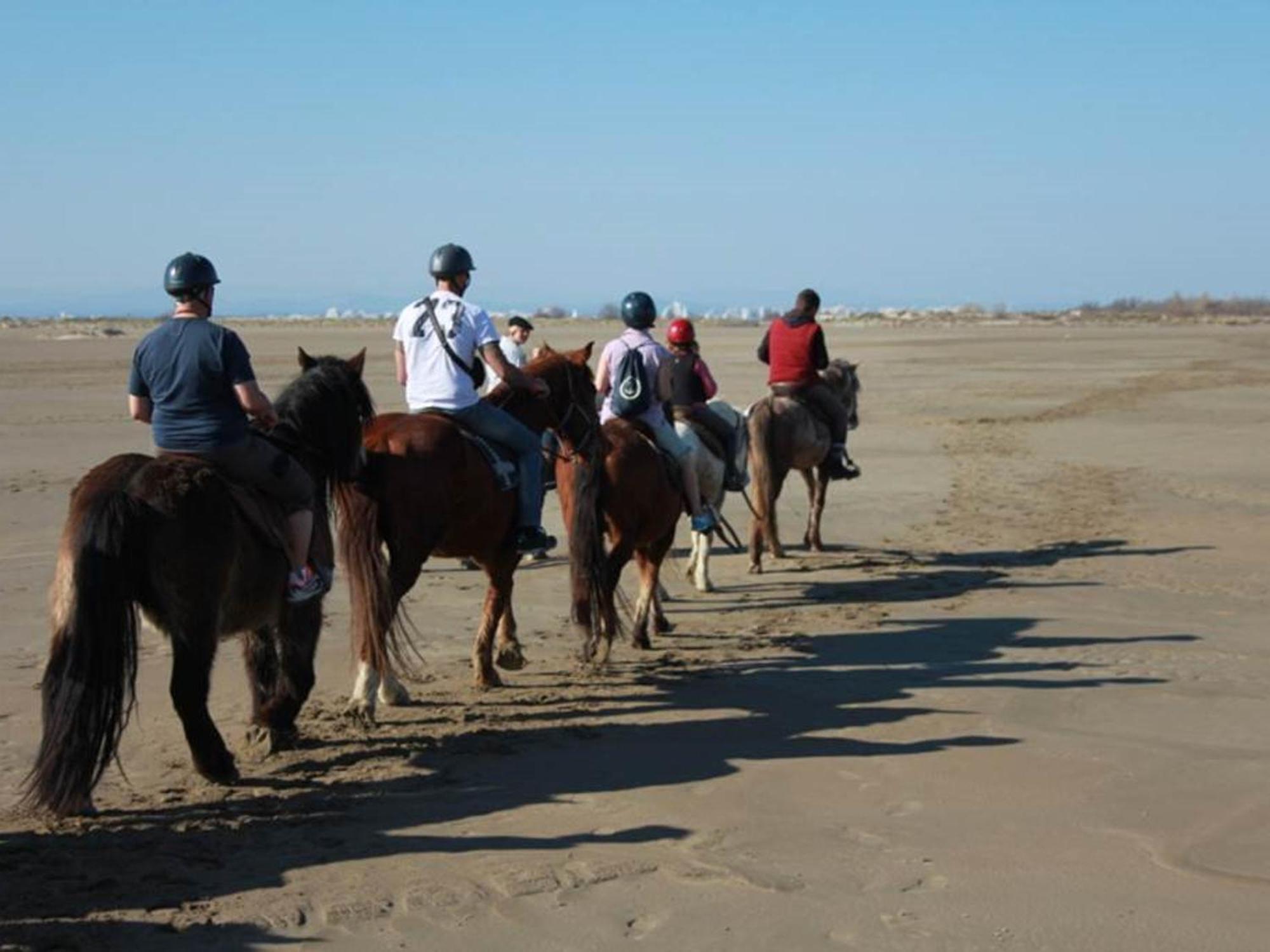 לה-גרו-דו-רואה Studio Confortable 3/4 Pers, 100M Plage, Parking Prive Au Grau-Du-Roi - Fr-1-307-20 מראה חיצוני תמונה